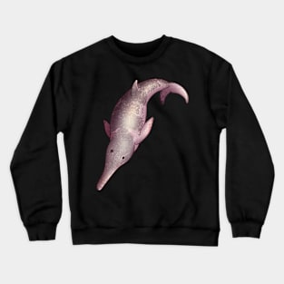 Cozy Squalodon Crewneck Sweatshirt